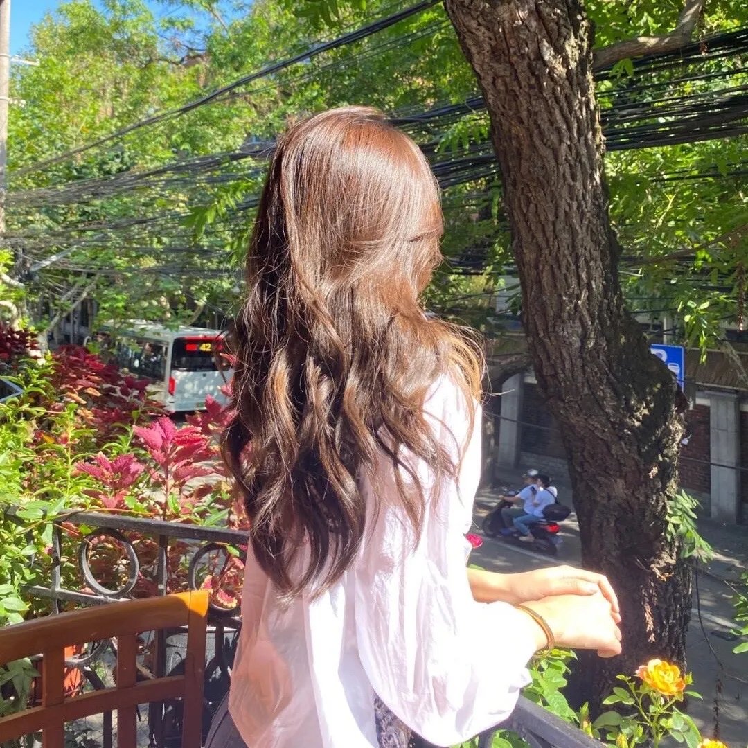 摄影师贝尔蒂与海豚零距离