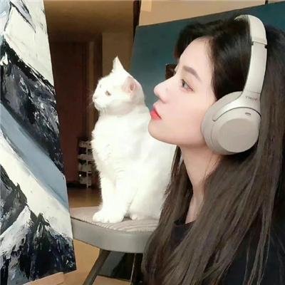 芬奇达